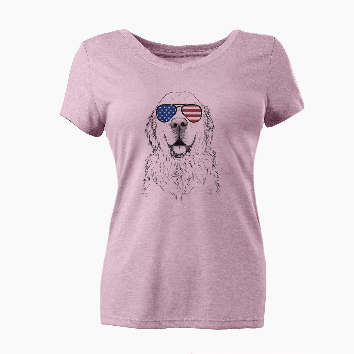 USA Maximus the Golden Retriever - Women's Perfect V-neck Shirt