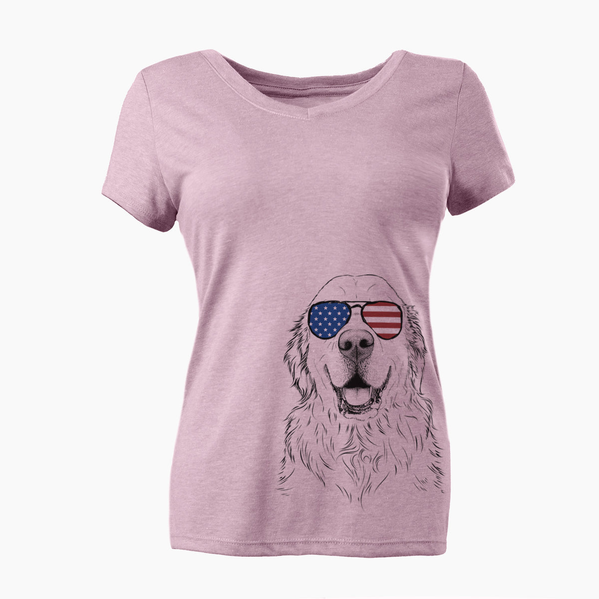 USA Maximus the Golden Retriever - Women's Perfect V-neck Shirt