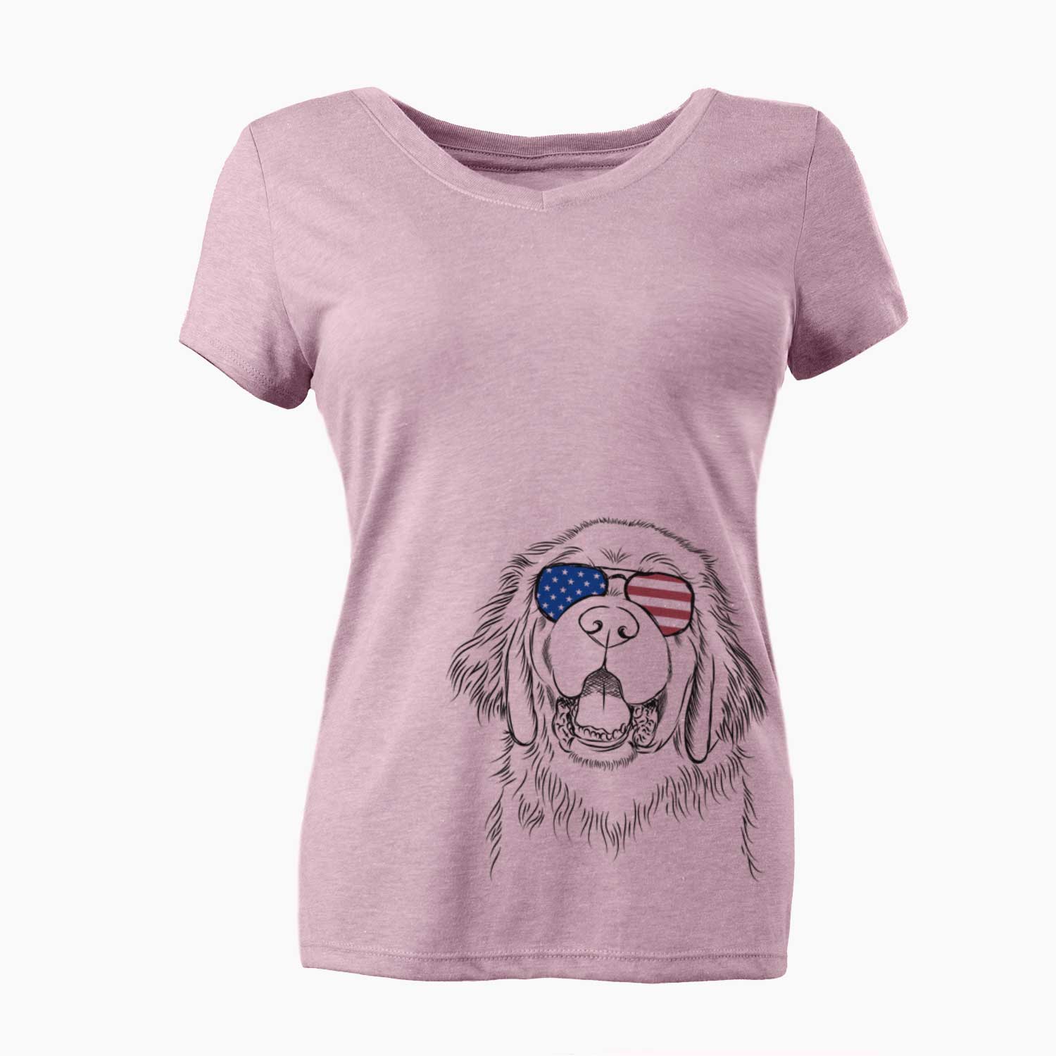 USA Mozart the Newfoundland - Women's Perfect V-neck Shirt