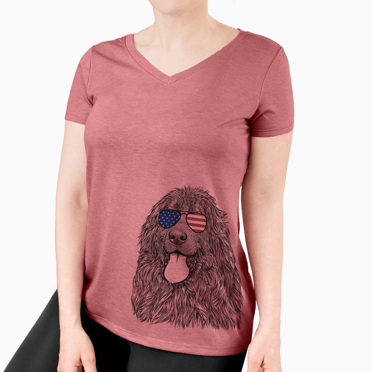USA Neptune the Newfoundland - Women's Perfect V-neck Shirt