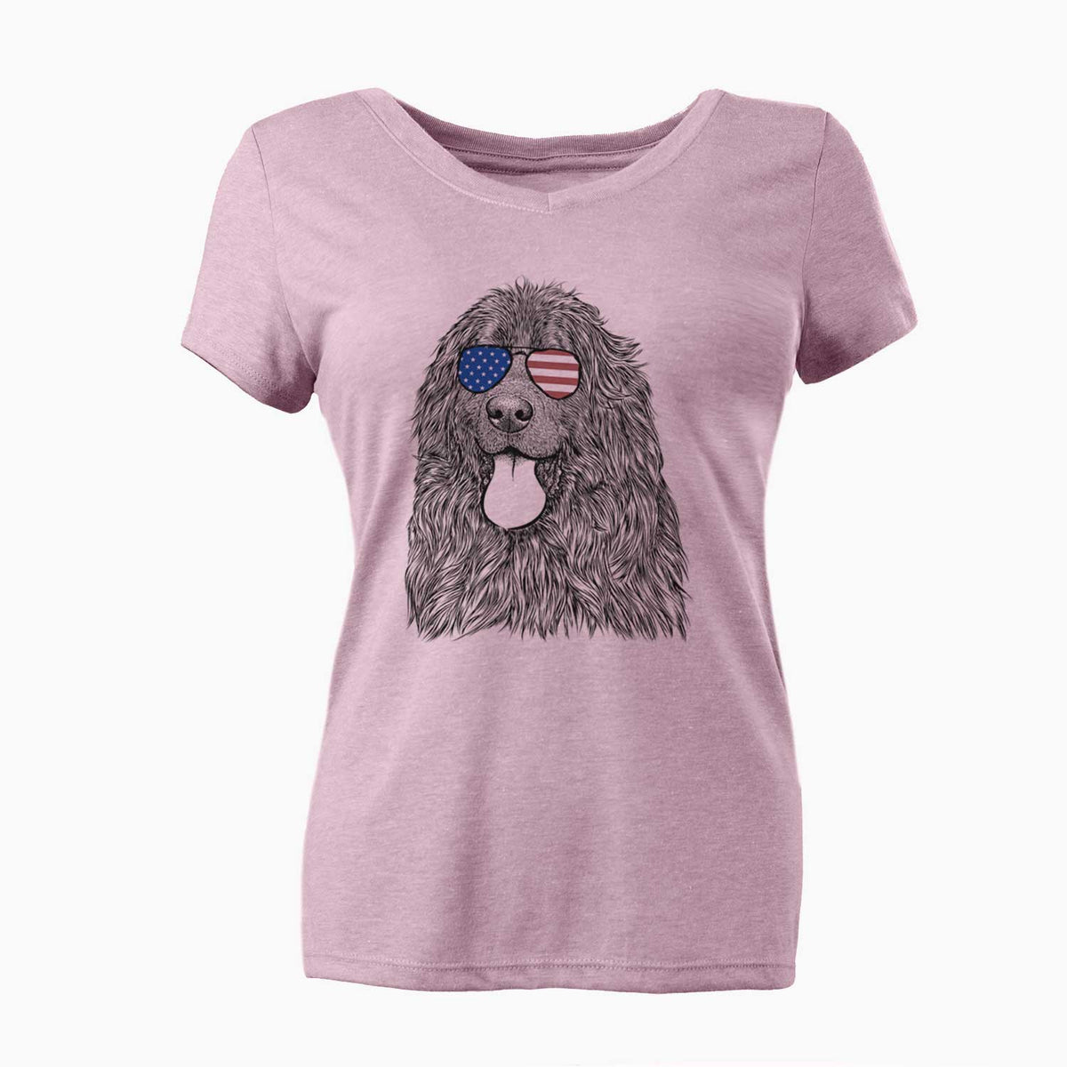 USA Neptune the Newfoundland - Women's Perfect V-neck Shirt
