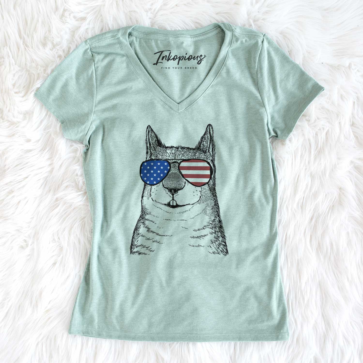 USA Nibbles the Squirrel - Women's Perfect V-neck Shirt