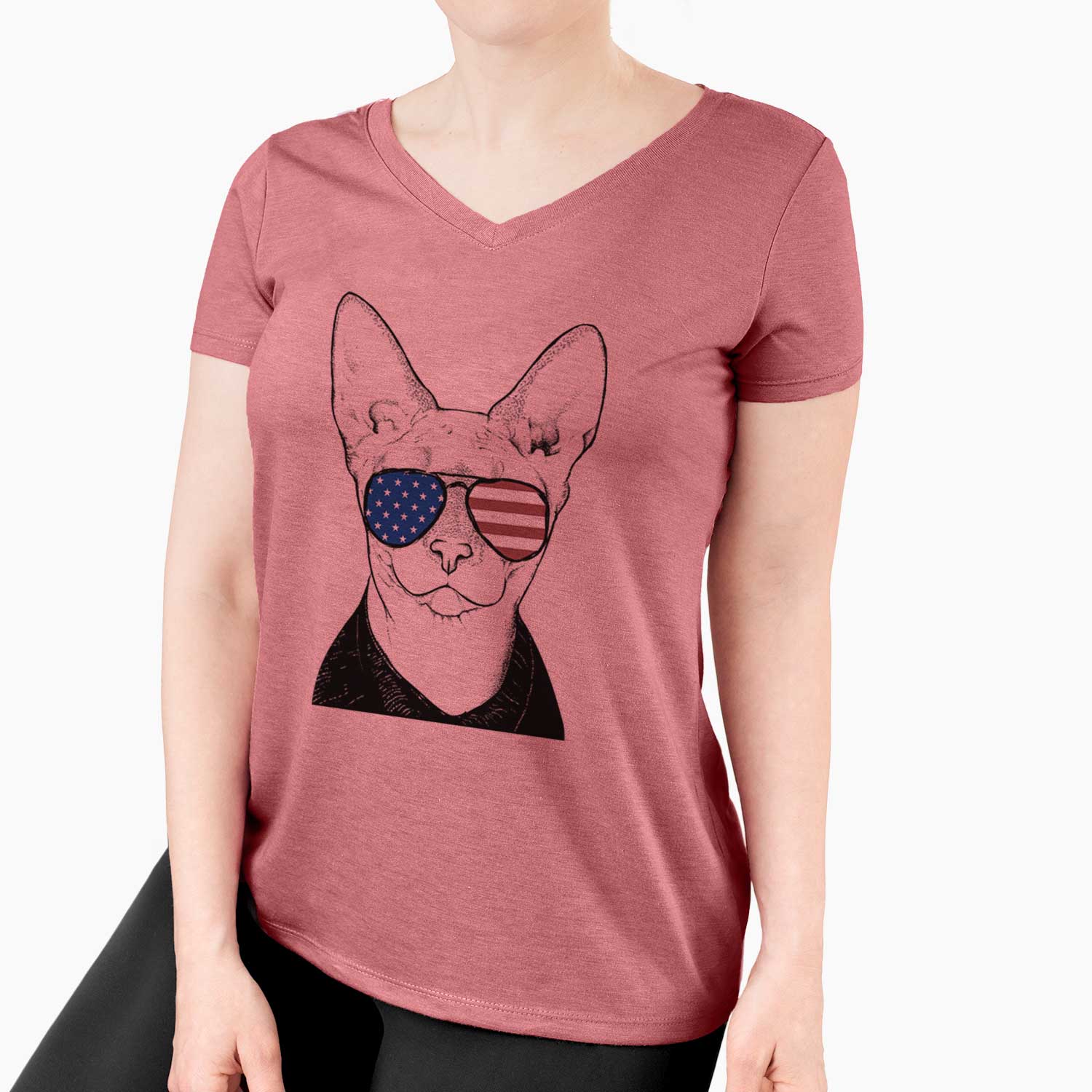 USA Oliver Watson the Sphynx Cat - Women's Perfect V-neck Shirt