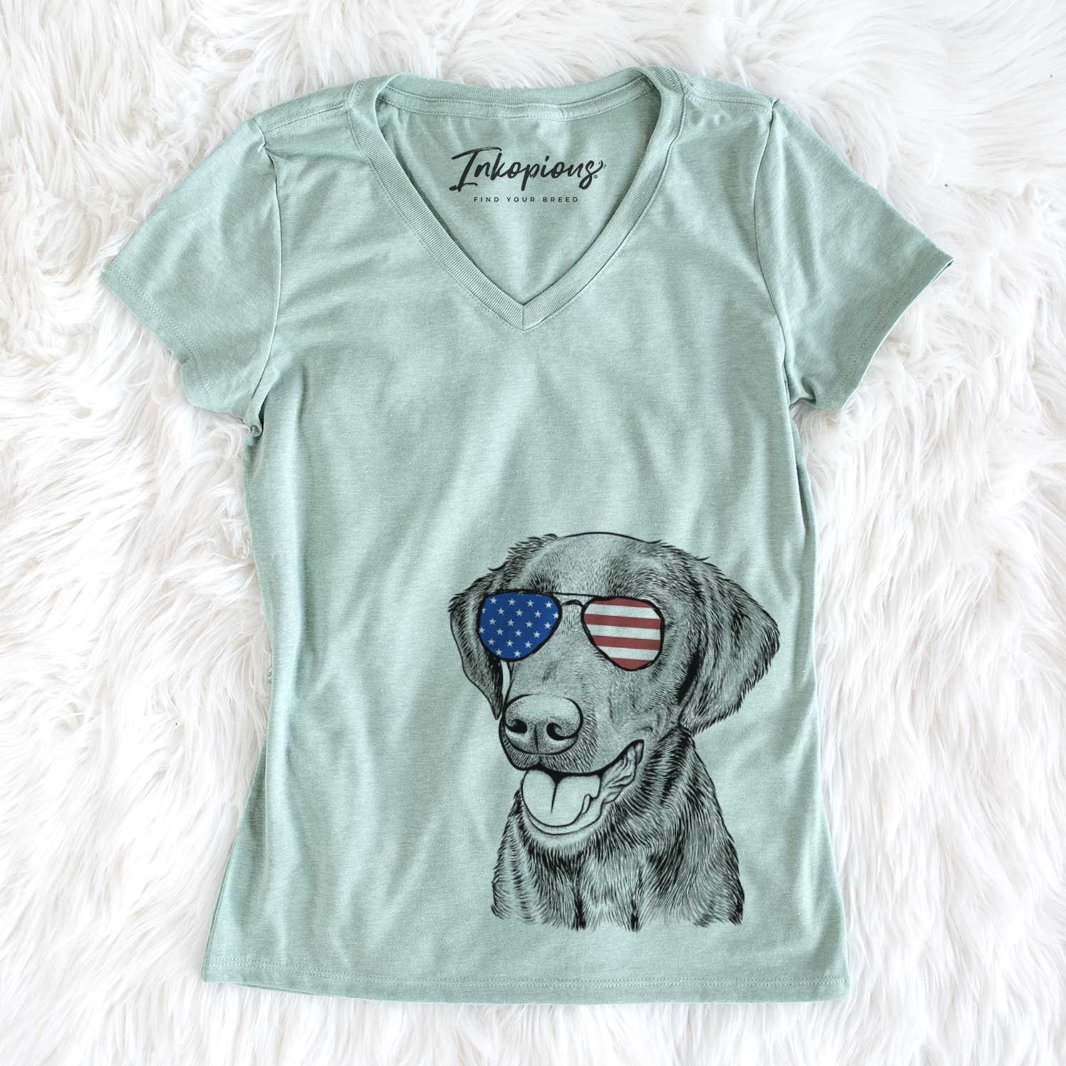 USA Onyx the Labrador Retriever - Women's Perfect V-neck Shirt
