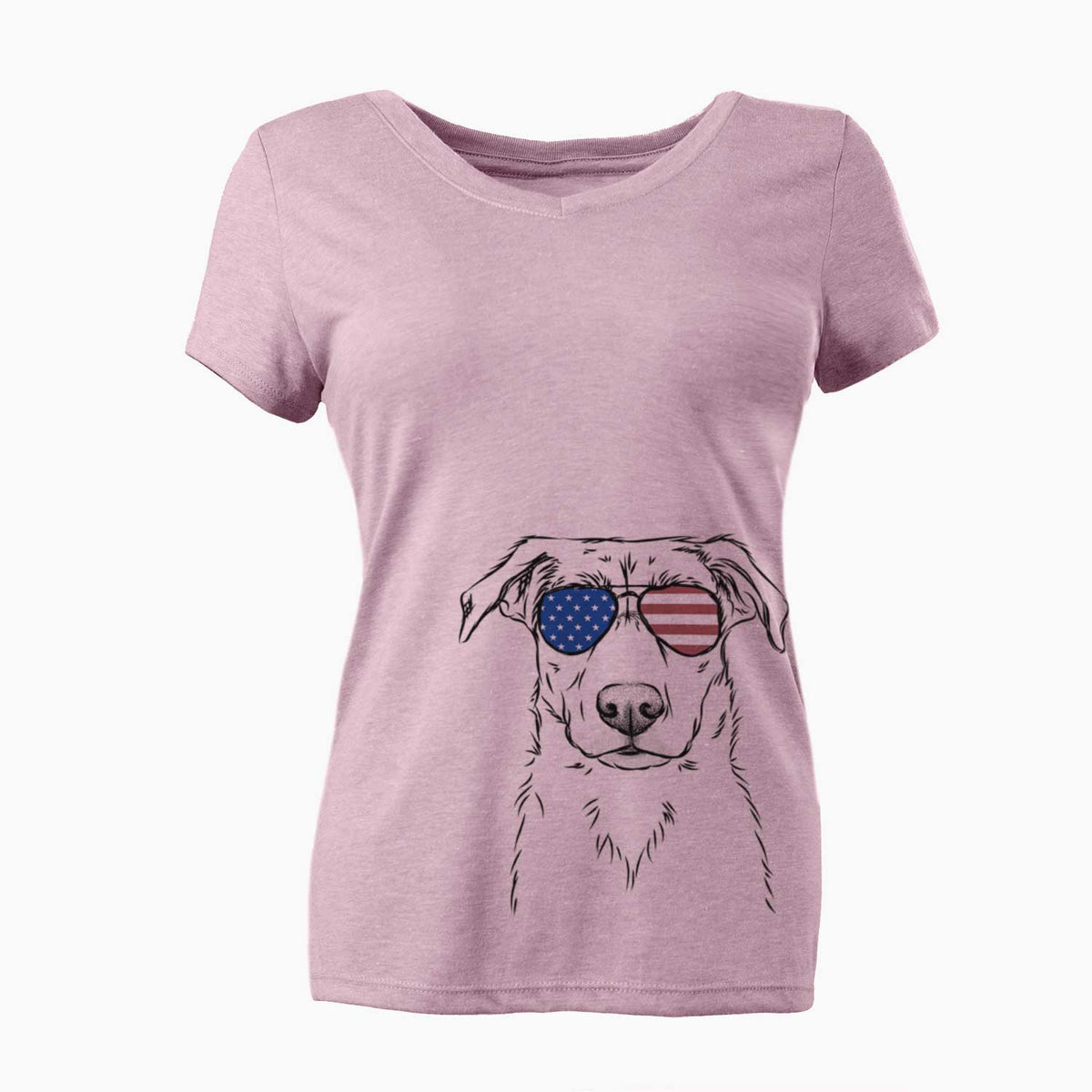 USA Peanut the Lab Mix - Women's Perfect V-neck Shirt