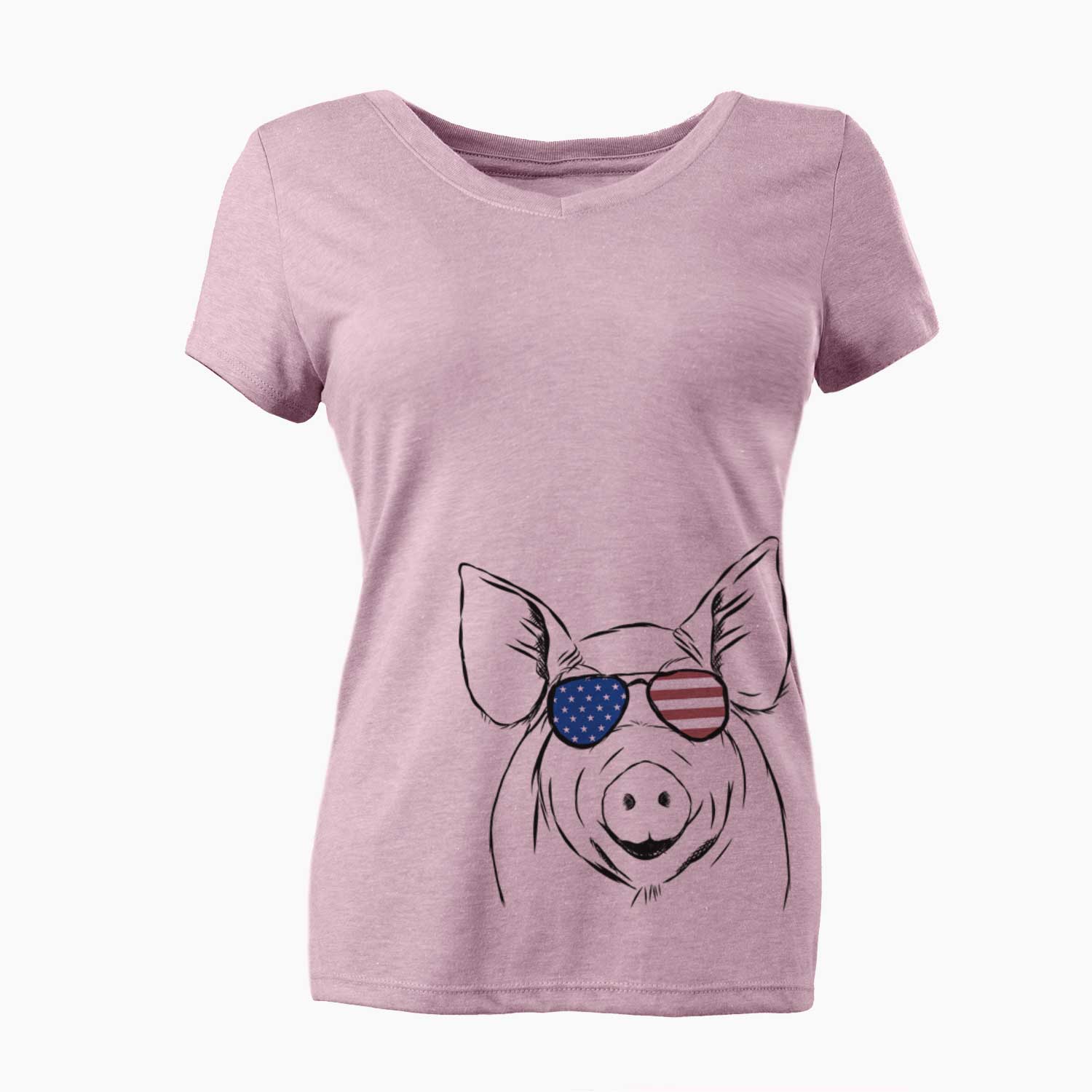 USA Perry the Pig - Women's Perfect V-neck Shirt