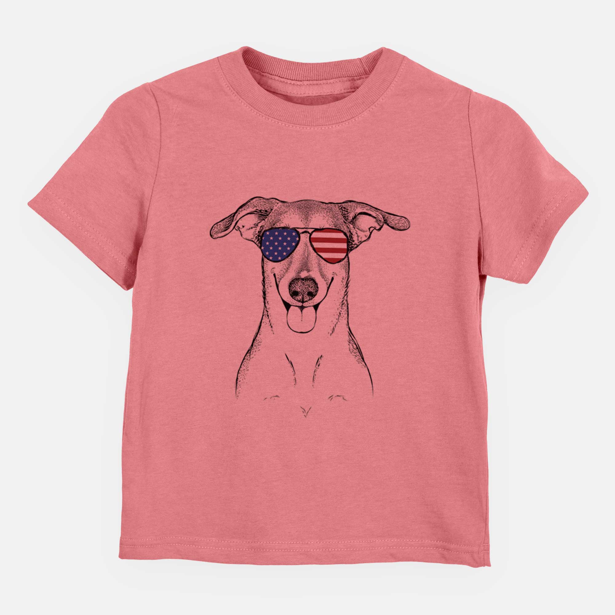 USA Phoebe the Corgi Mix - Kids/Youth/Toddler Shirt