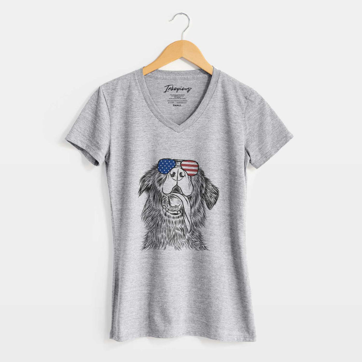 USA Quint the Mixed Breed - Women's Perfect V-neck Shirt