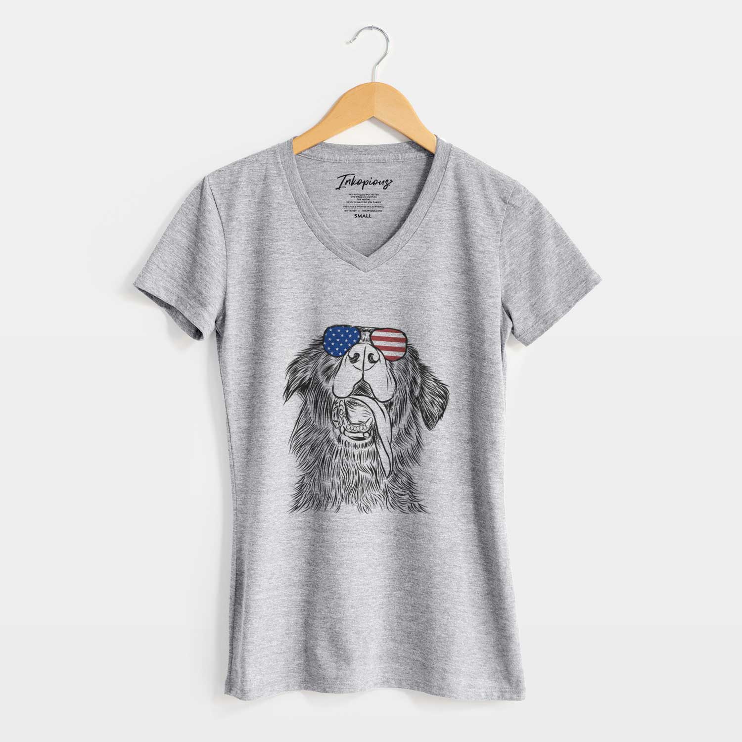 USA Quint the Mixed Breed - Women's Perfect V-neck Shirt