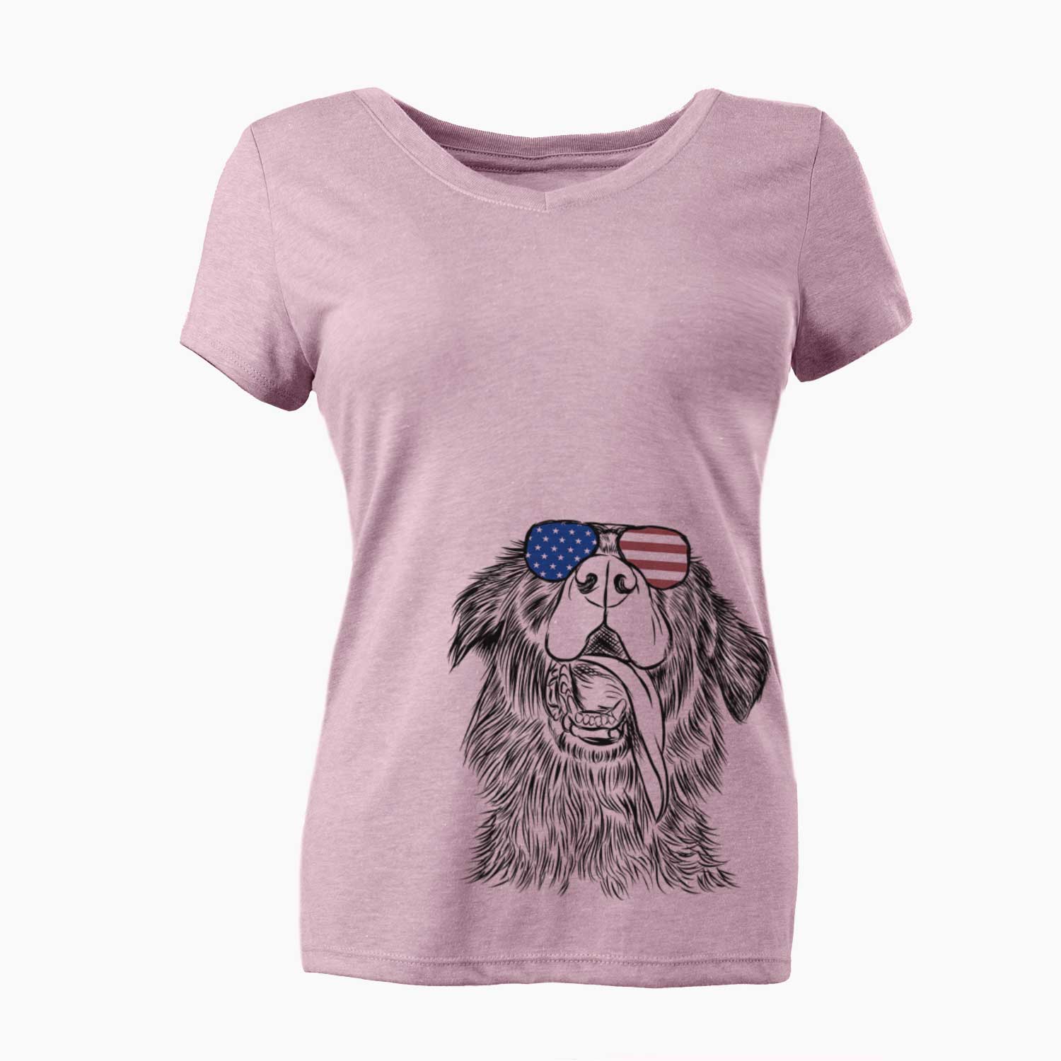 USA Quint the Mixed Breed - Women's Perfect V-neck Shirt