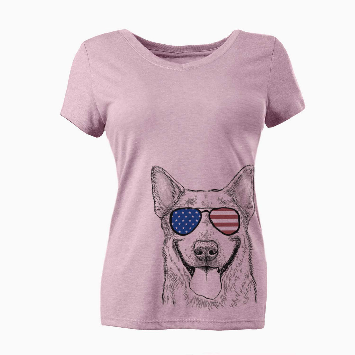 USA Rio the Australian Cattle Dog - Women's Perfect V-neck Shirt