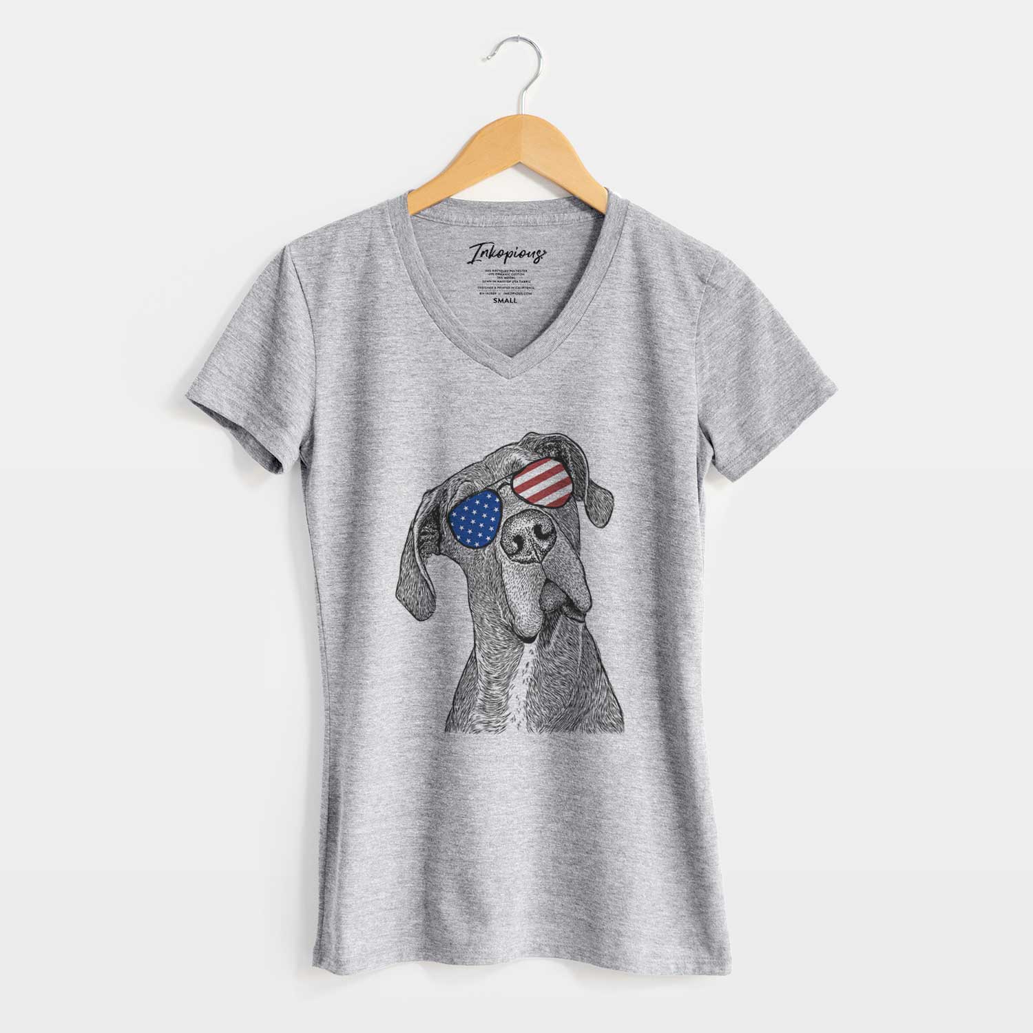 USA River the Great Dane - Women's Perfect V-neck Shirt