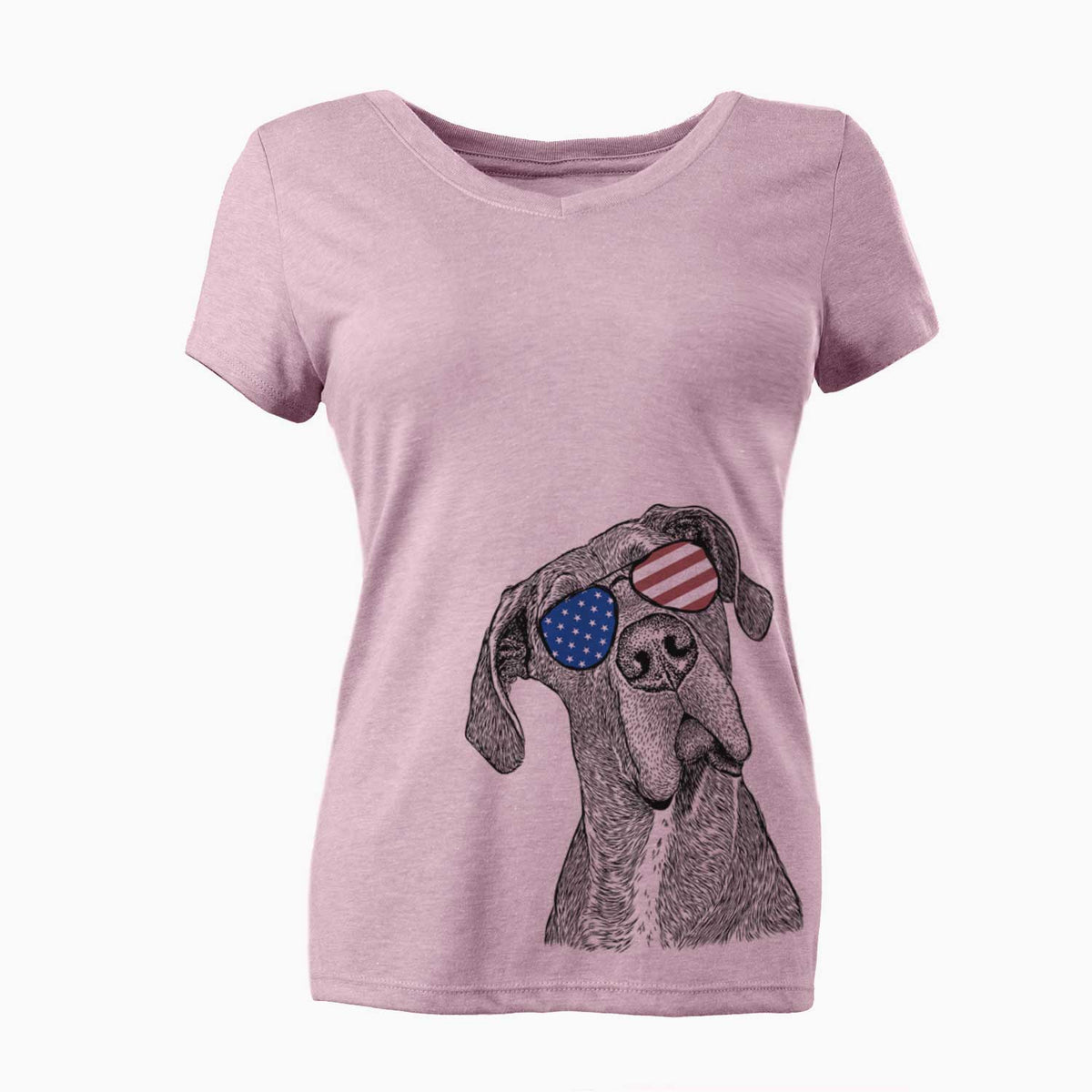 USA River the Great Dane - Women's Perfect V-neck Shirt