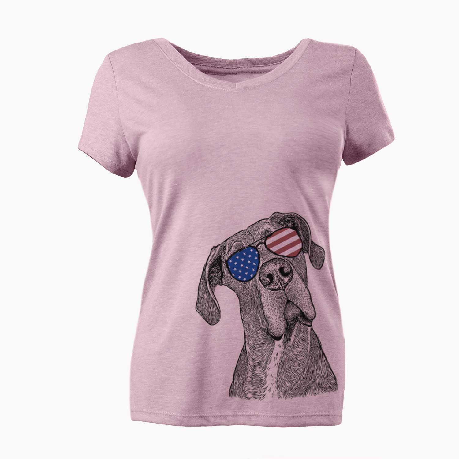 USA River the Great Dane - Women's Perfect V-neck Shirt