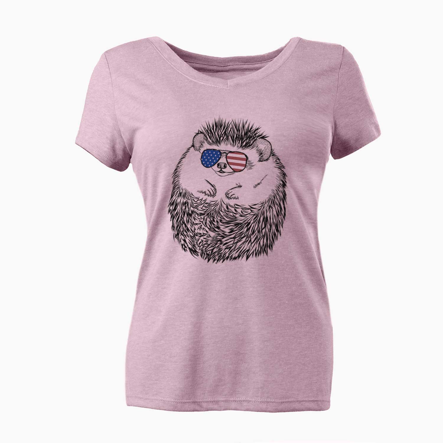 USA Sid the Hedgehog - Women's Perfect V-neck Shirt