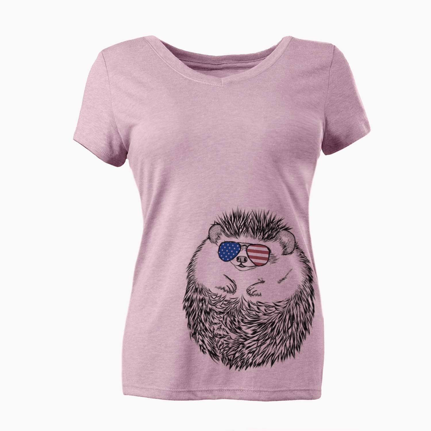 USA Sid the Hedgehog - Women's Perfect V-neck Shirt