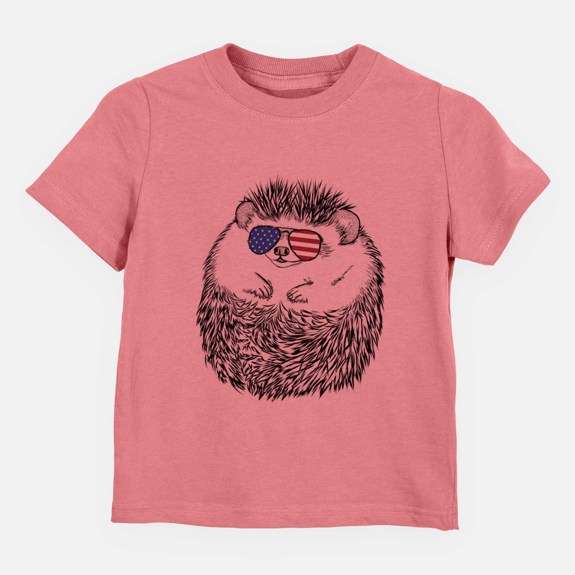 USA Sid the Hedgehog - Kids/Youth/Toddler Shirt