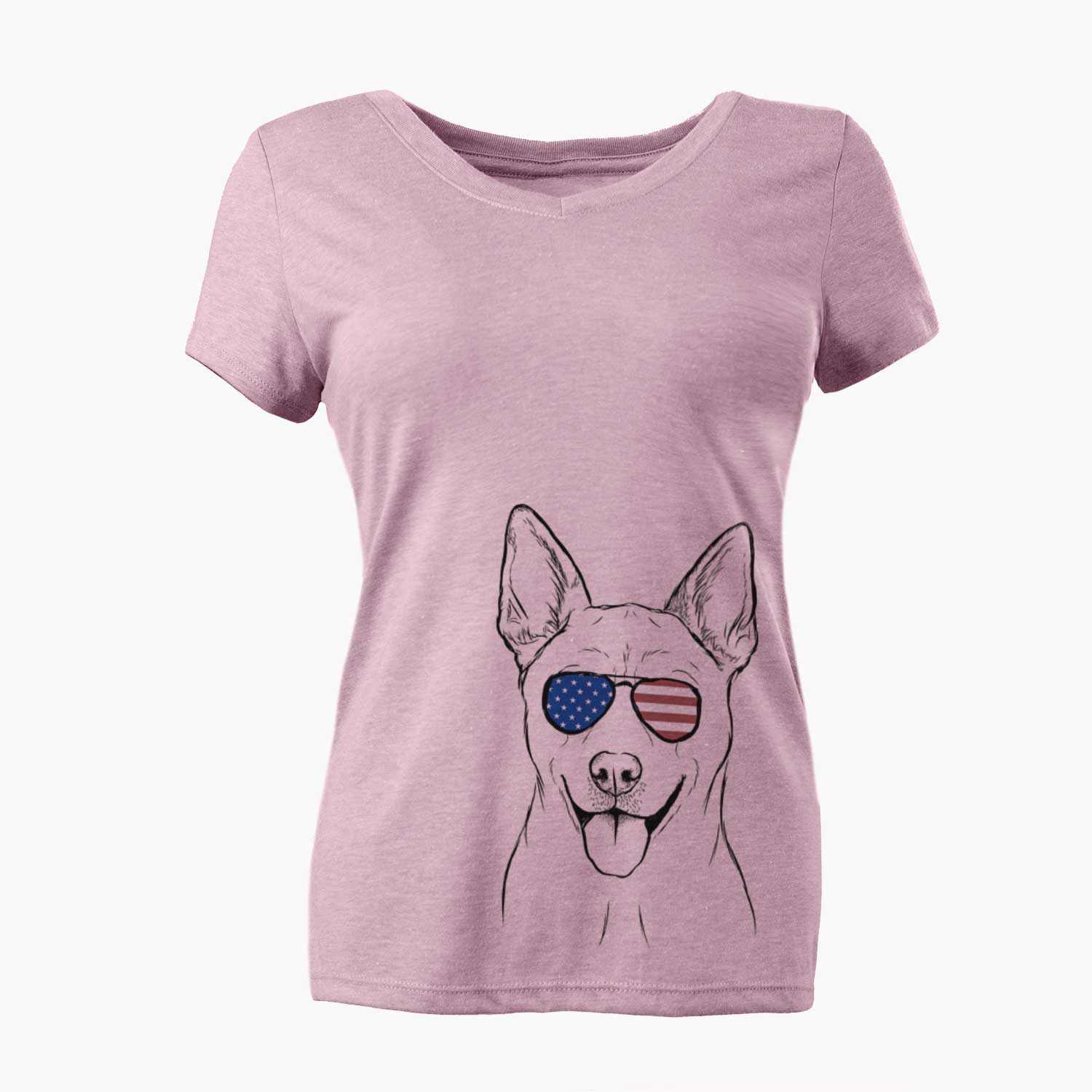 USA Silly Lilly the Mixed Breed - Women's Perfect V-neck Shirt