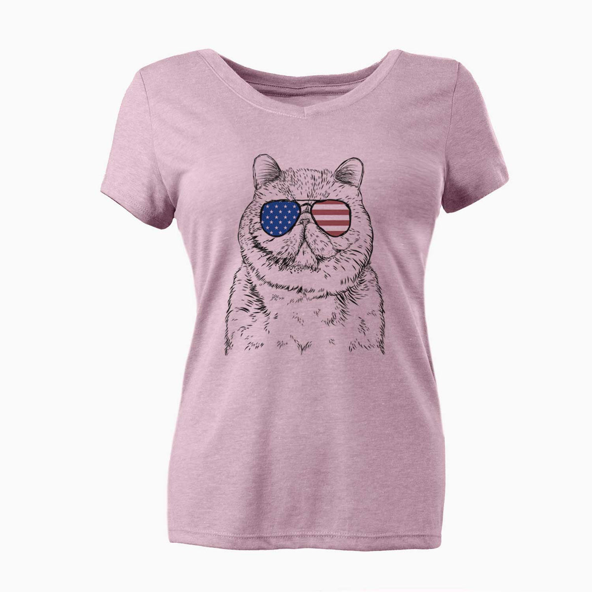 USA Squish the Exotic Shorthair Cat - Women's Perfect V-neck Shirt