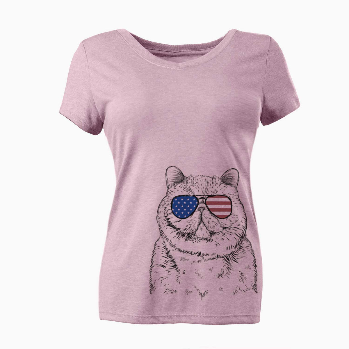USA Squish the Exotic Shorthair Cat - Women's Perfect V-neck Shirt