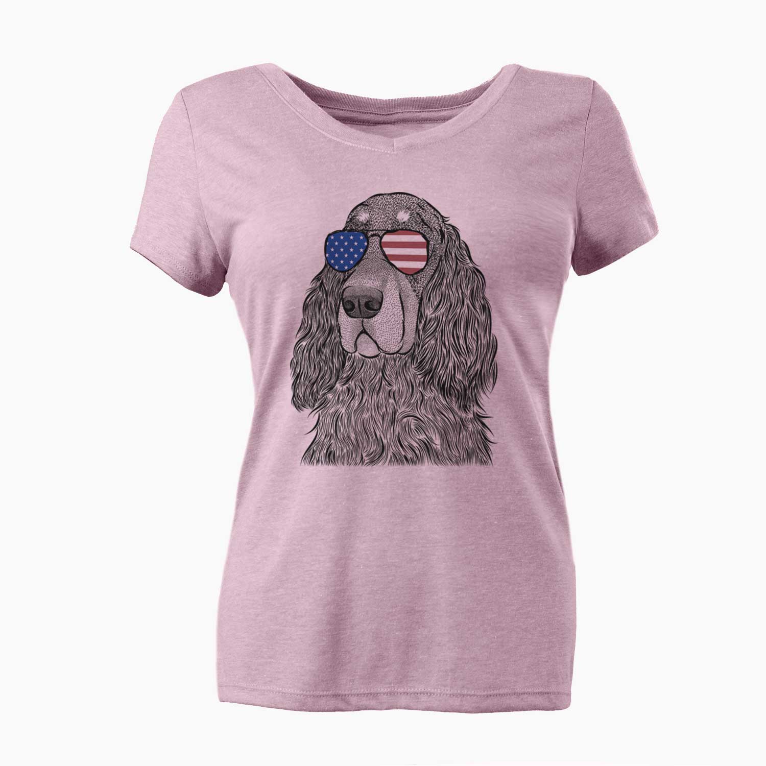 USA Stormy the Gordon Setter - Women's Perfect V-neck Shirt