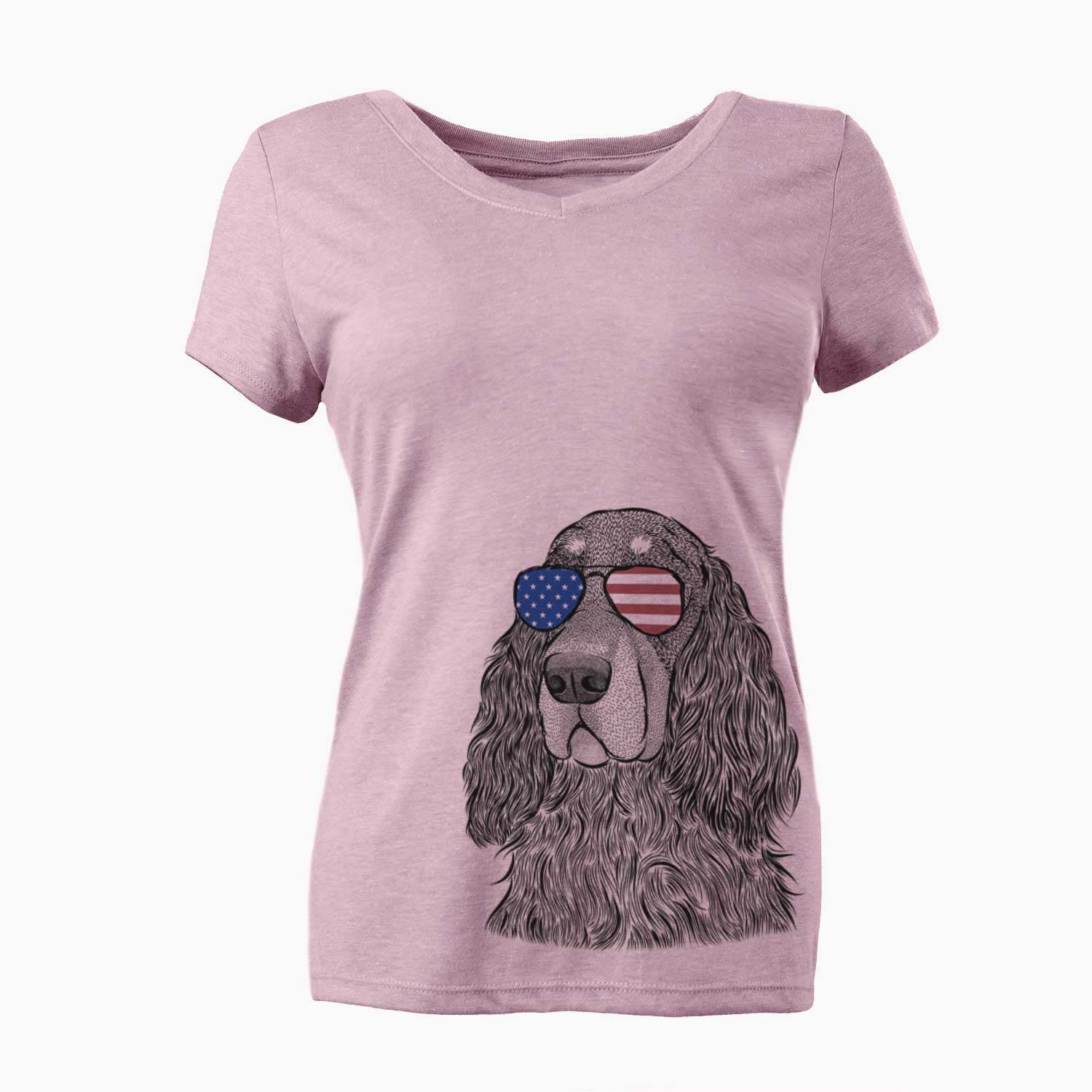 USA Stormy the Gordon Setter - Women's Perfect V-neck Shirt