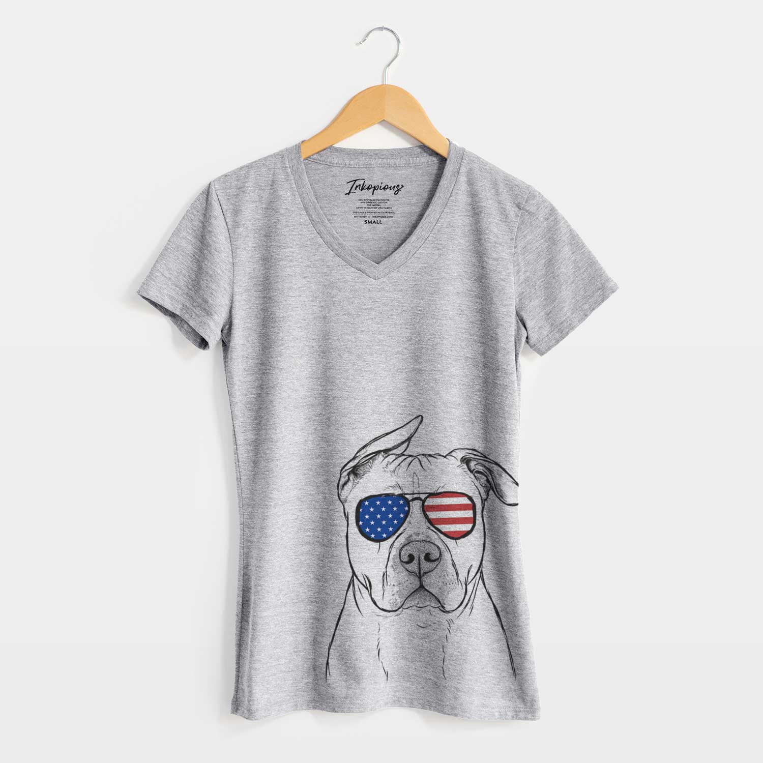 USA Teddy Jam the Pitbull - Women's Perfect V-neck Shirt