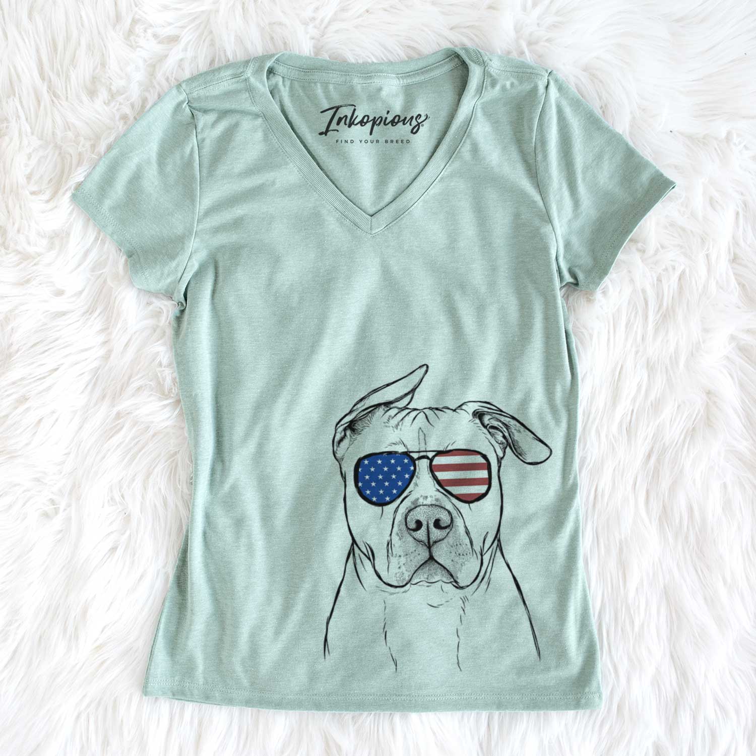 USA Teddy Jam the Pitbull - Women's Perfect V-neck Shirt