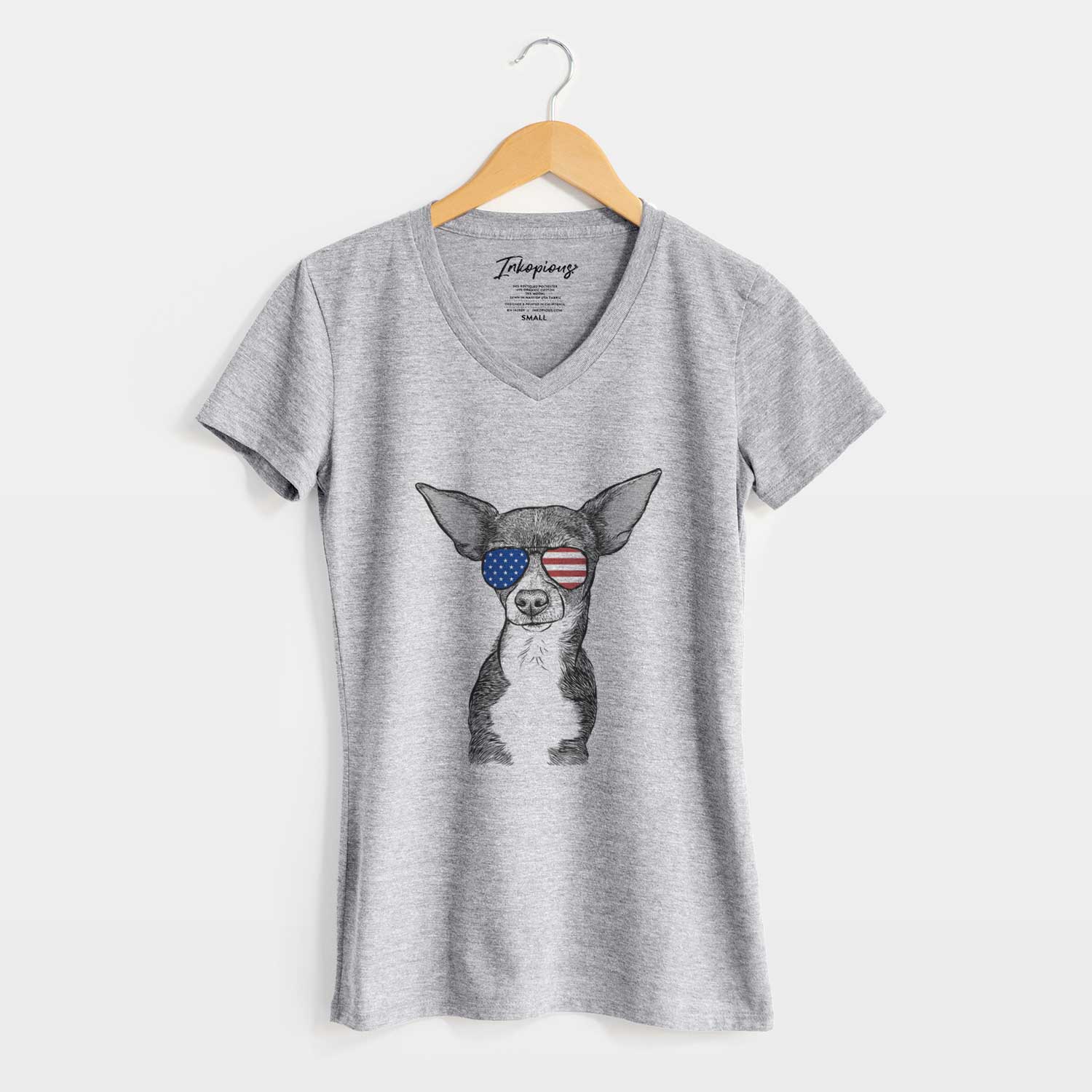 USA Tiny Archie the Mixed Breed - Women's Perfect V-neck Shirt