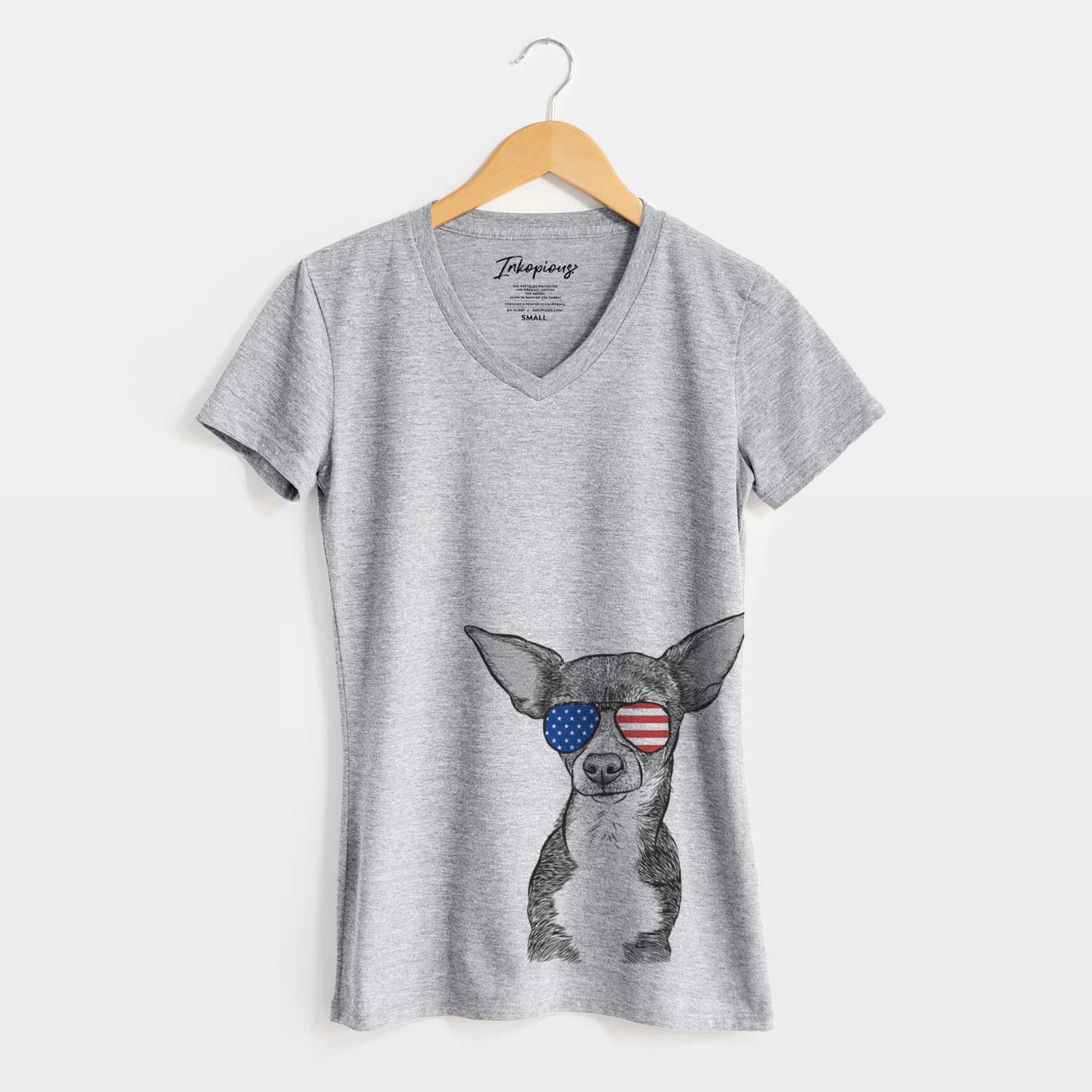 USA Tiny Archie the Mixed Breed - Women's Perfect V-neck Shirt