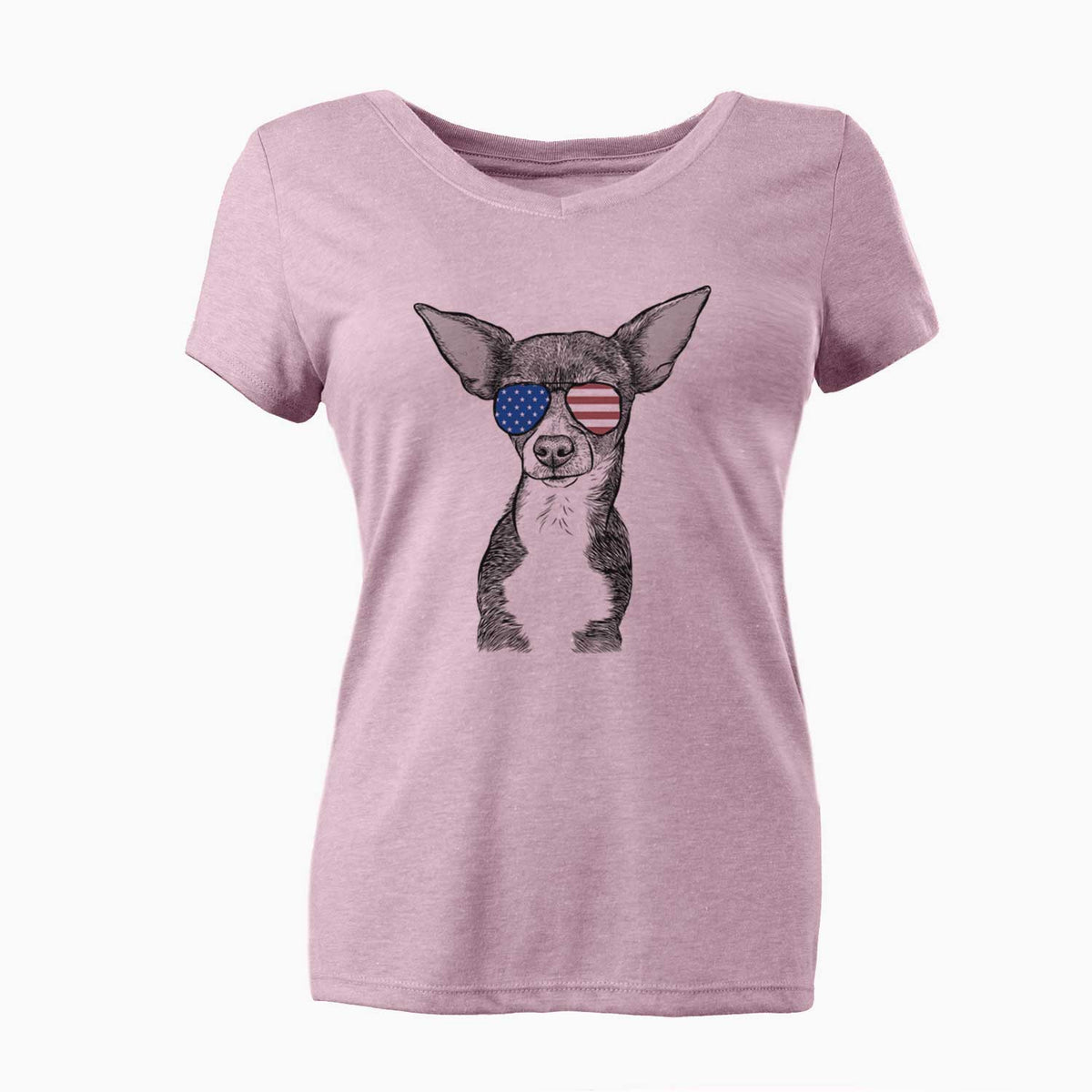 USA Tiny Archie the Mixed Breed - Women's Perfect V-neck Shirt