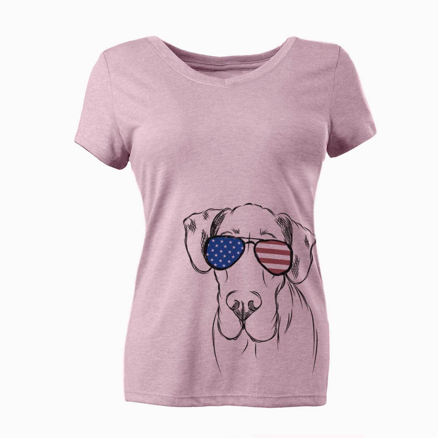 USA Titus the Great Dane - Women's Perfect V-neck Shirt