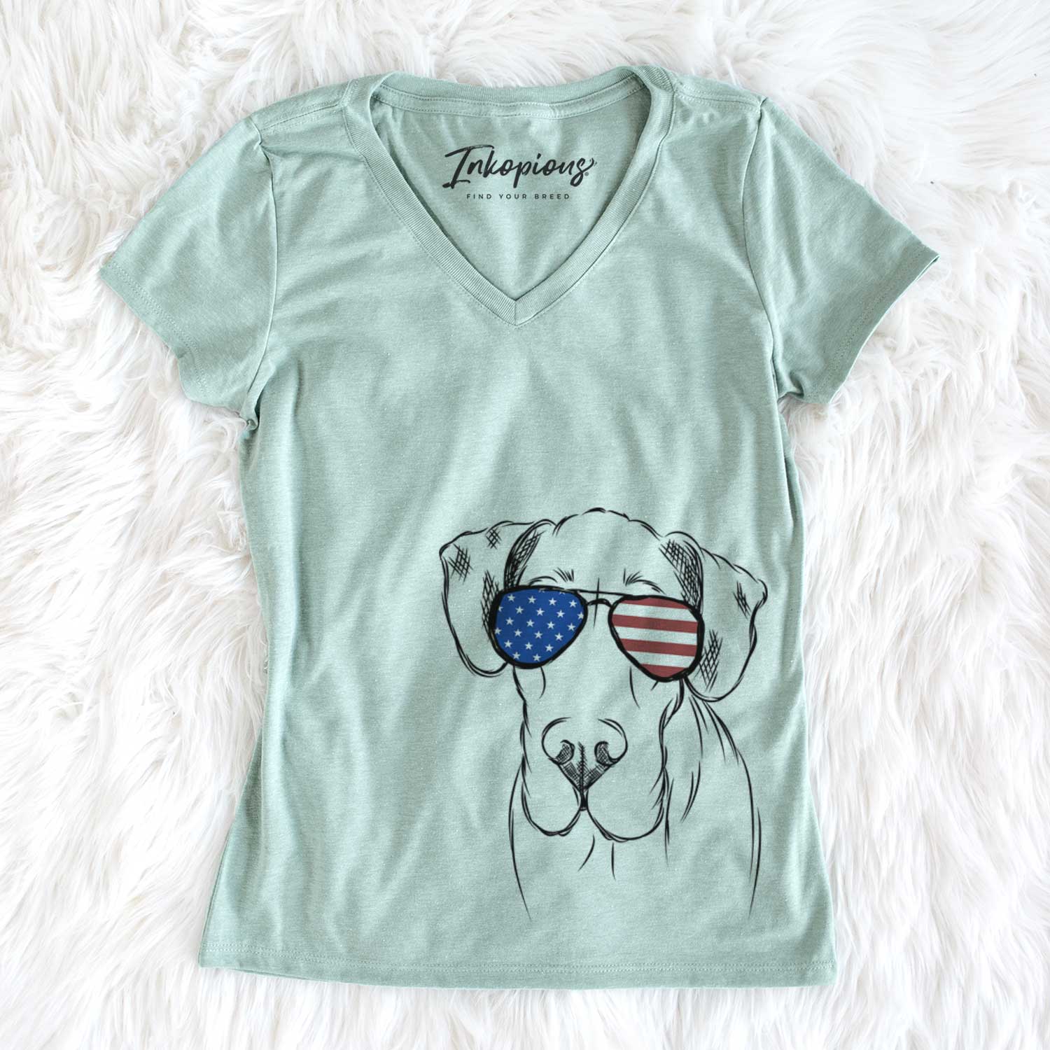 USA Titus the Great Dane - Women's Perfect V-neck Shirt