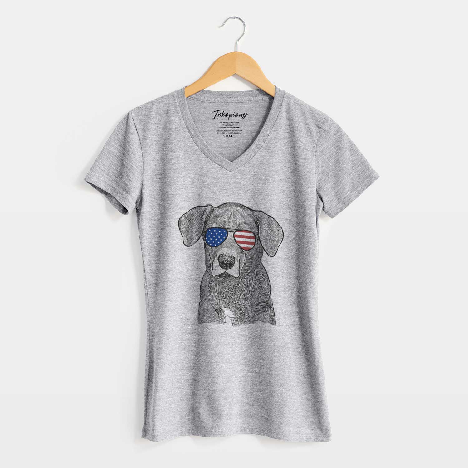 USA Tom the Lab Dane Mix - Women's Perfect V-neck Shirt