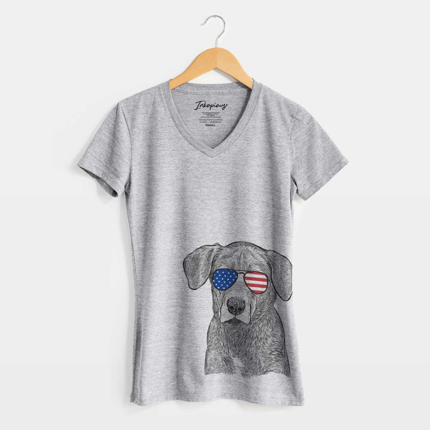 USA Tom the Lab Dane Mix - Women's Perfect V-neck Shirt