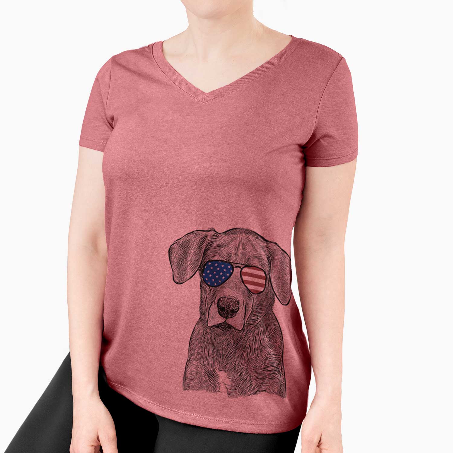 USA Tom the Lab Dane Mix - Women's Perfect V-neck Shirt