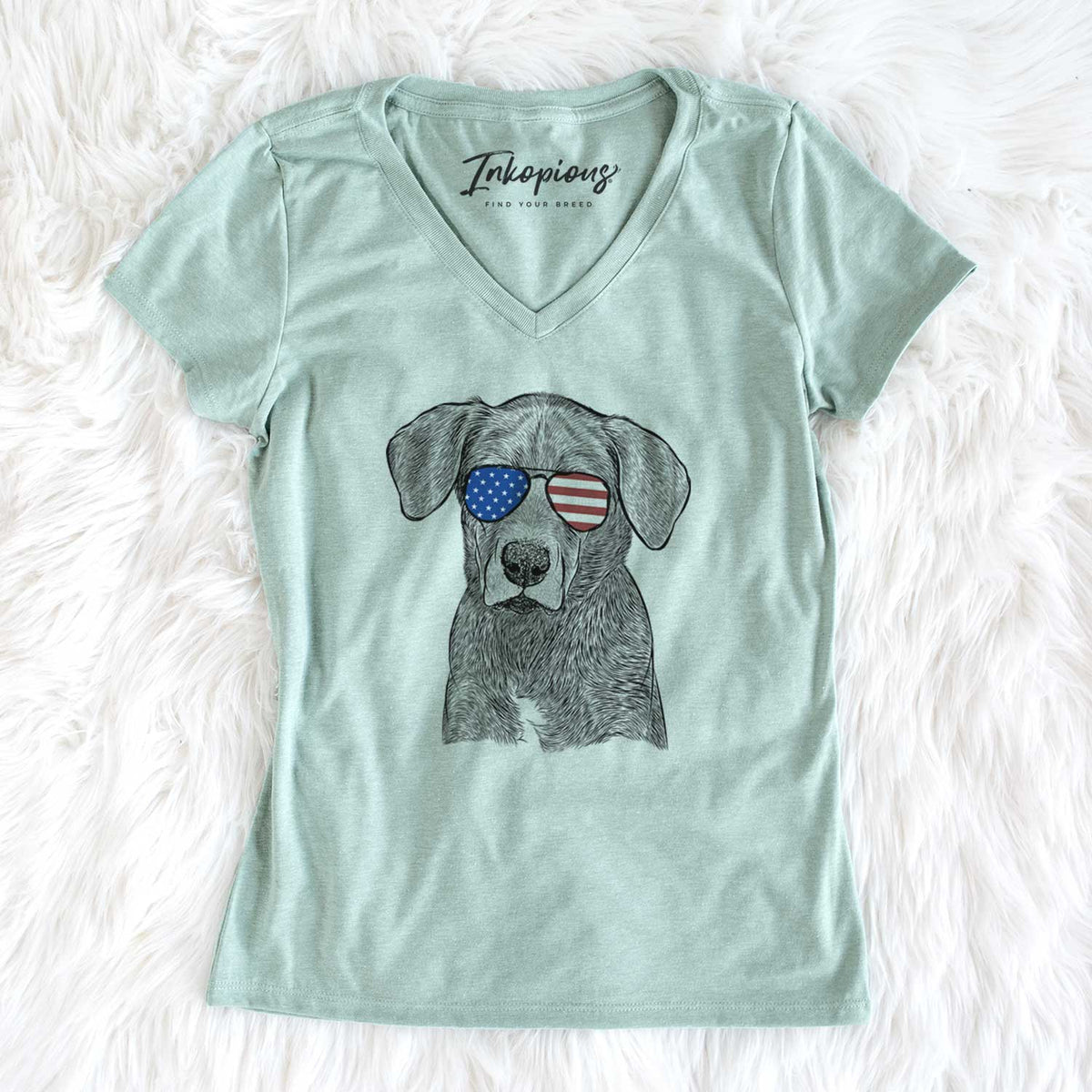 USA Tom the Lab Dane Mix - Women's Perfect V-neck Shirt