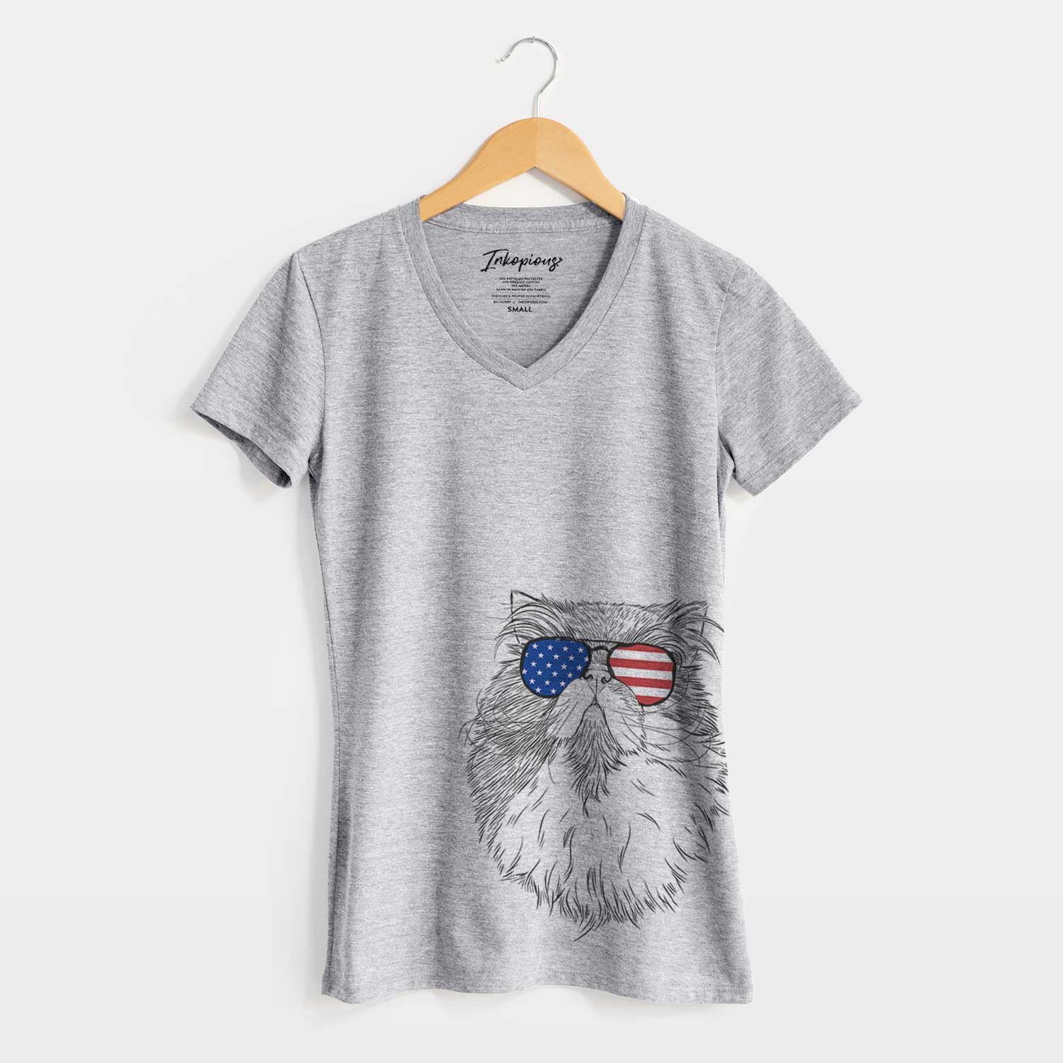 USA Tookie the Perisan Cat - Women's Perfect V-neck Shirt