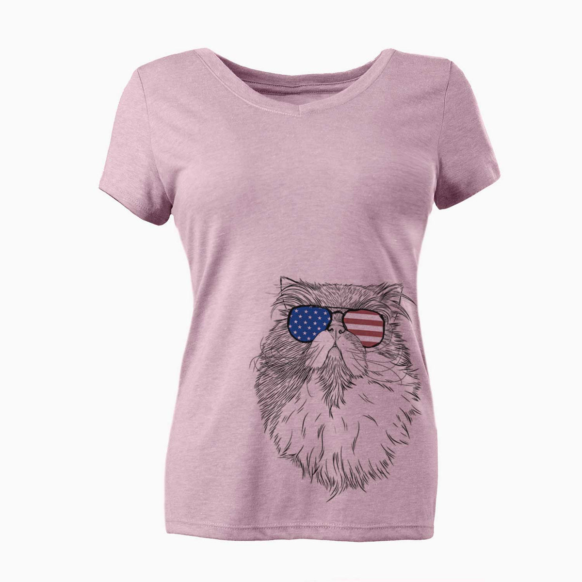 USA Tookie the Perisan Cat - Women's Perfect V-neck Shirt