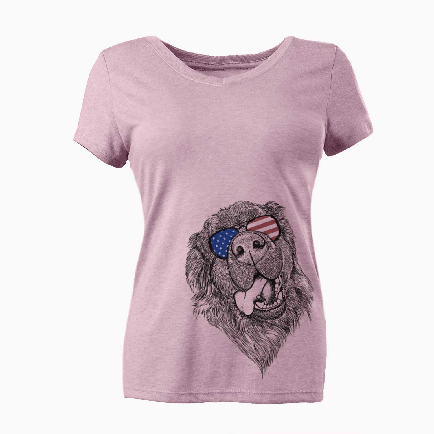 USA Tuna the Newfoundland - Women's Perfect V-neck Shirt