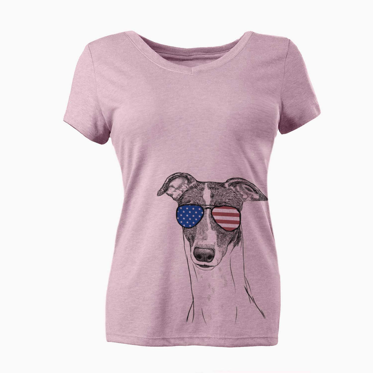 USA Vyncent the Greyhound - Women's Perfect V-neck Shirt