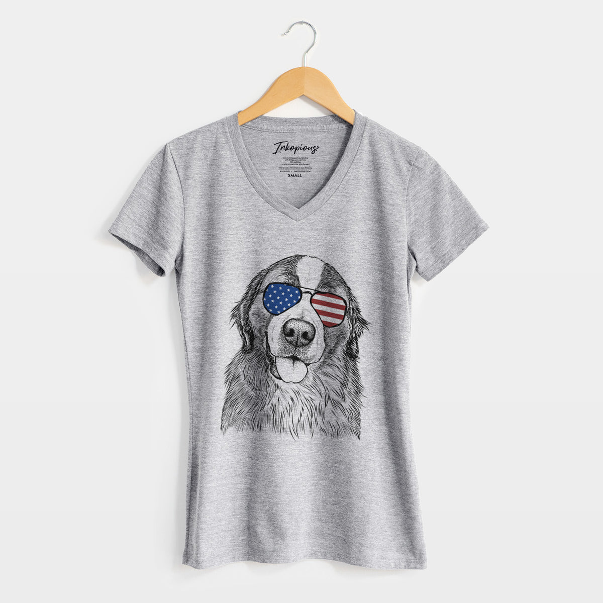 USA Walter the Bernese Mountain Dog Mix - Women&#39;s Perfect V-neck Shirt