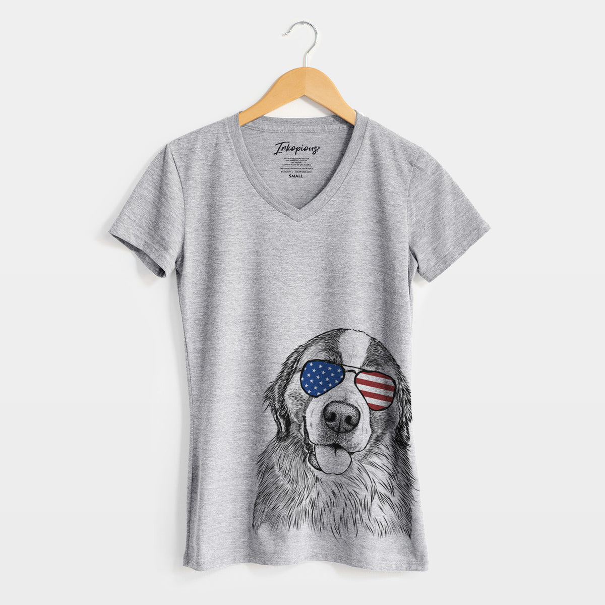 USA Walter the Bernese Mountain Dog Mix - Women's Perfect V-neck Shirt