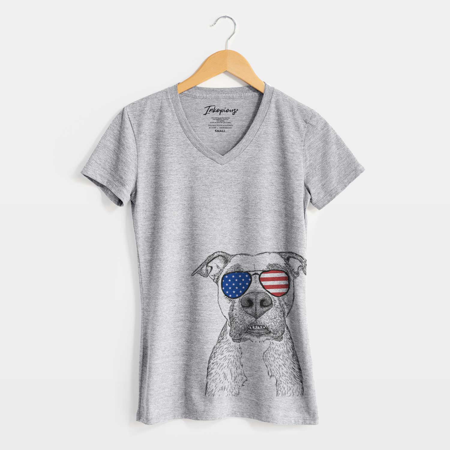 USA Xena the Mixed Breed - Women's Perfect V-neck Shirt