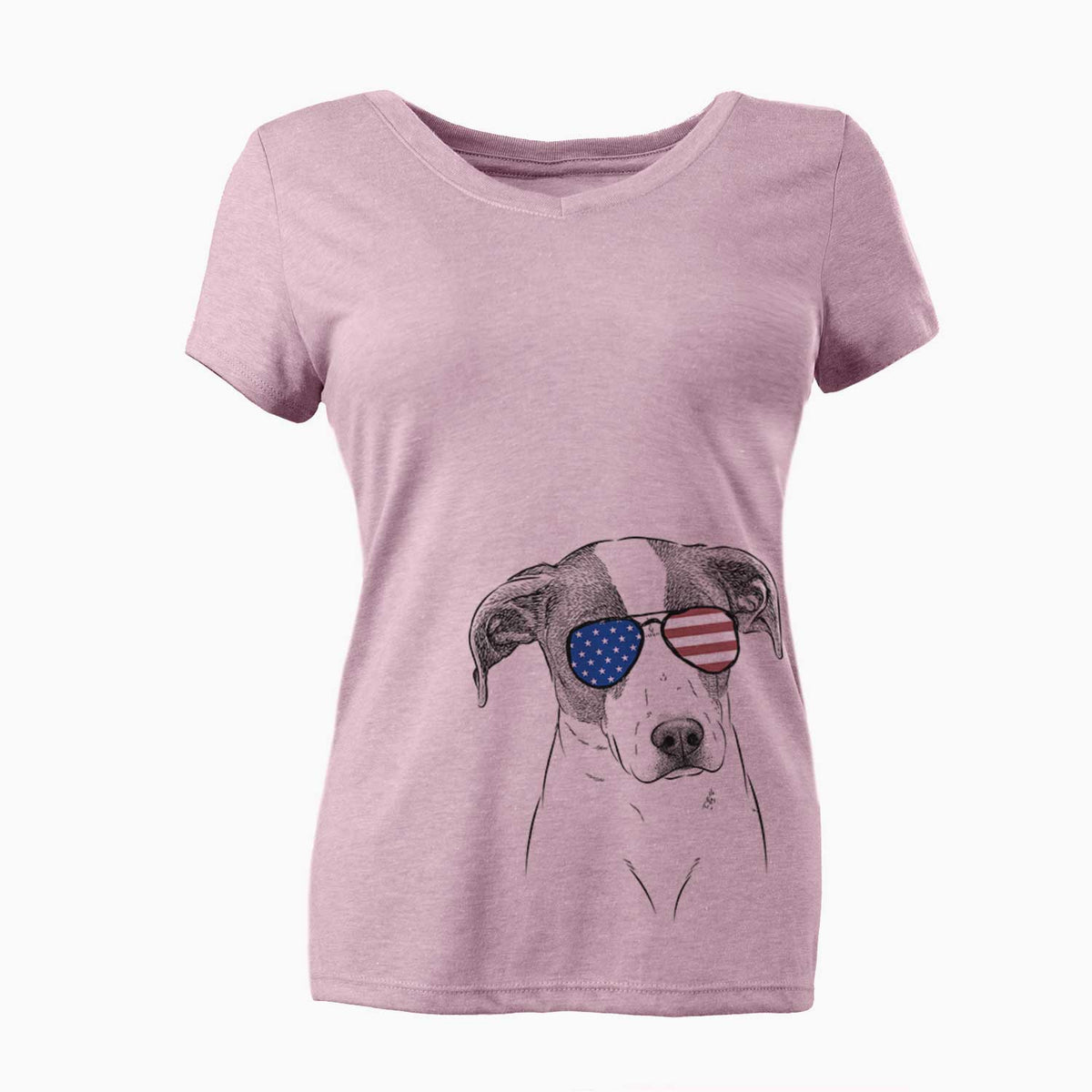 USA Zephyr the Pointer Mix - Women's Perfect V-neck Shirt