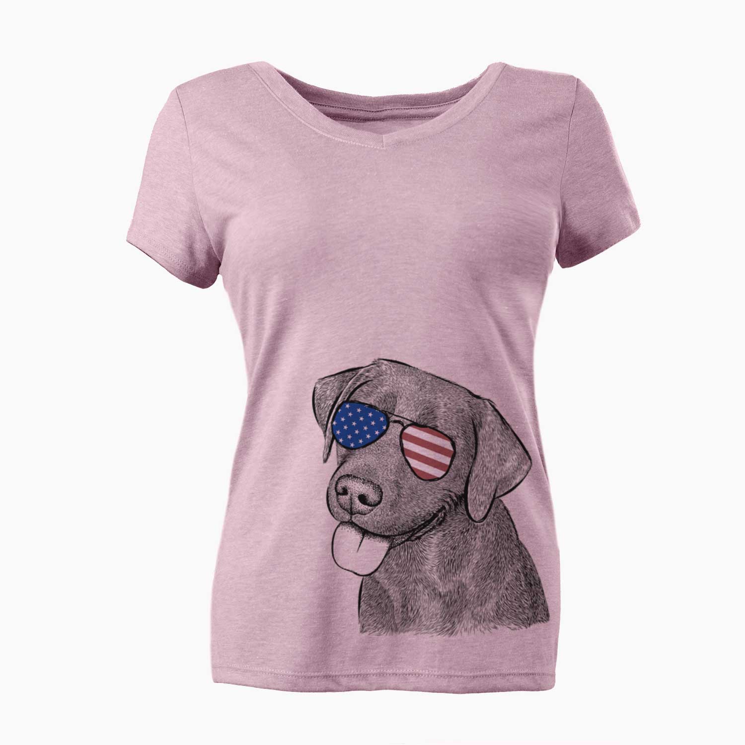 USA Zeppelin the Black Labrador - Women's Perfect V-neck Shirt