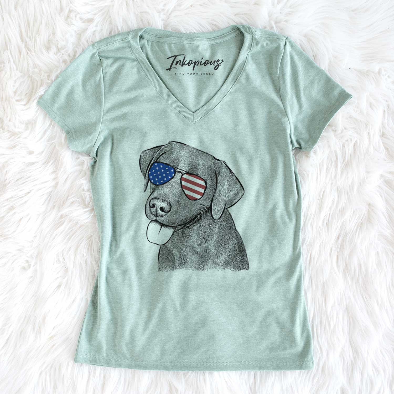 USA Zeppelin the Black Labrador - Women's Perfect V-neck Shirt