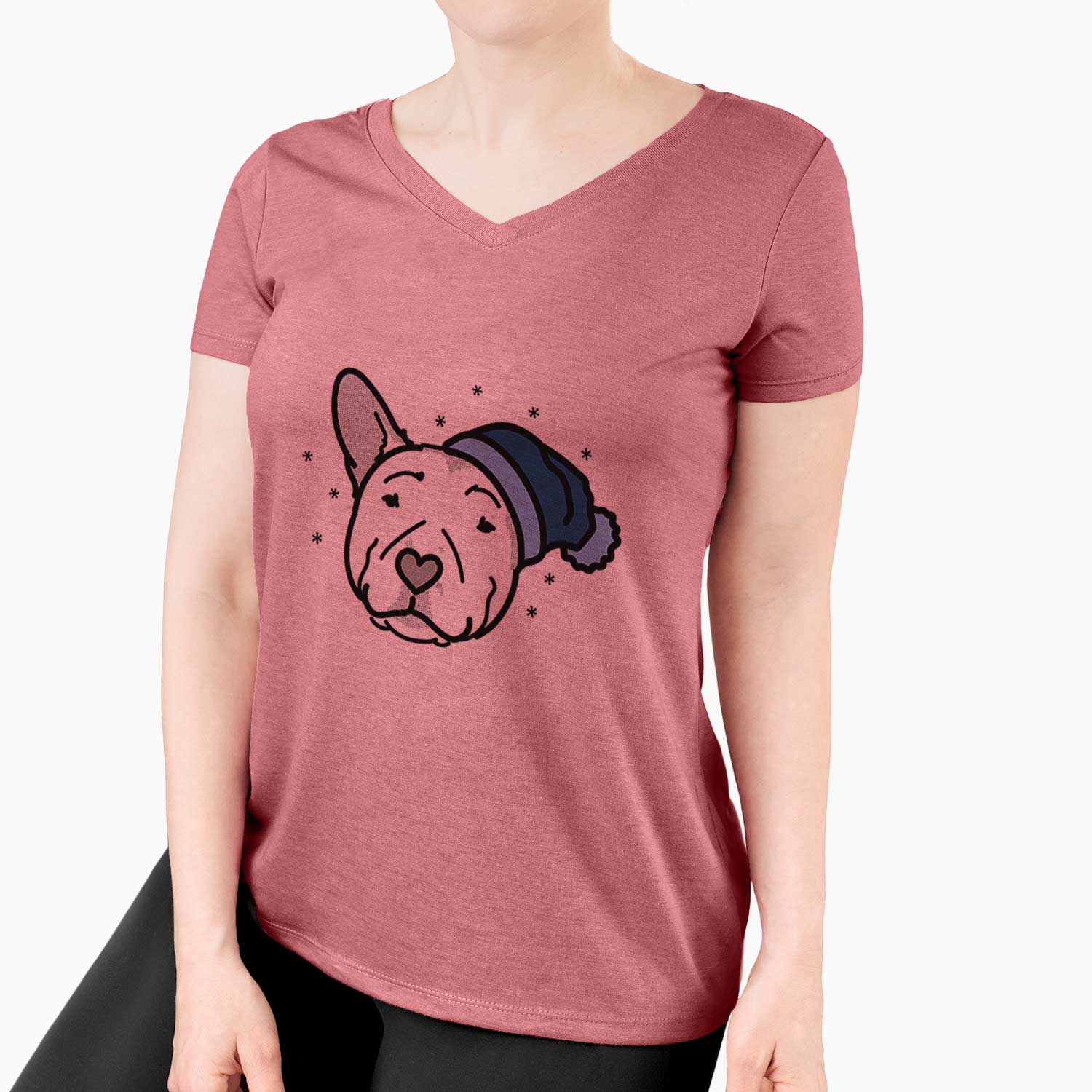 Frosty Pitbull - Archer - Women's V-neck Shirt