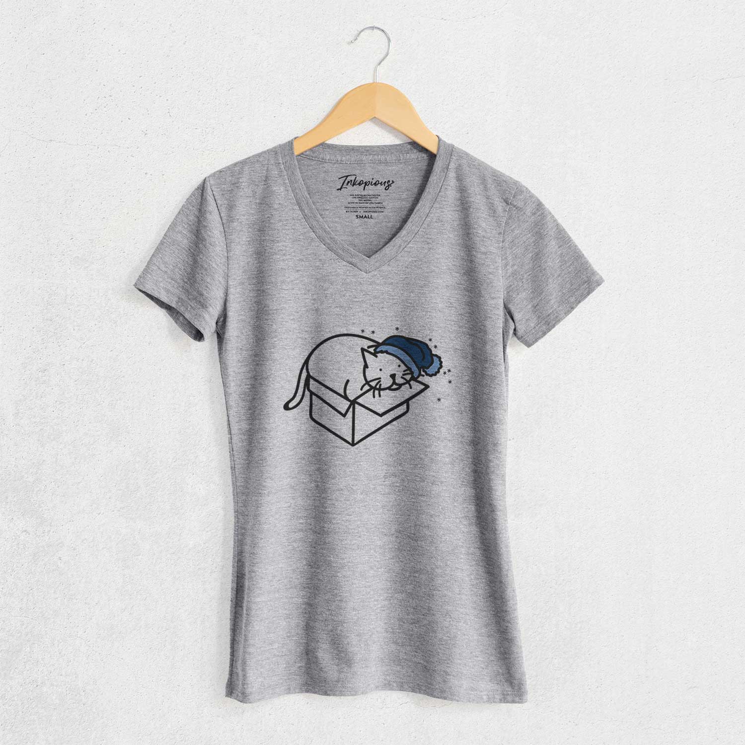 Frosty Cat in a Box - Charlie - Women's V-neck Shirt