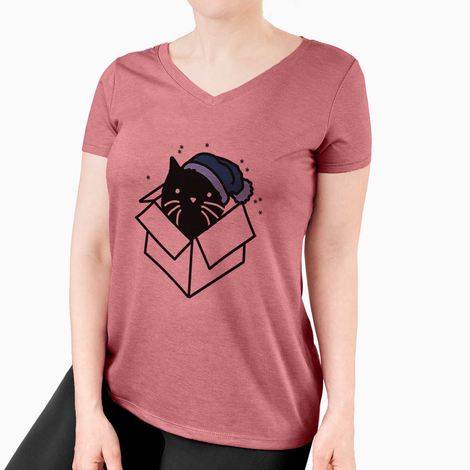 Frosty Black Cat in a Box - Doc - Women's V-neck Shirt